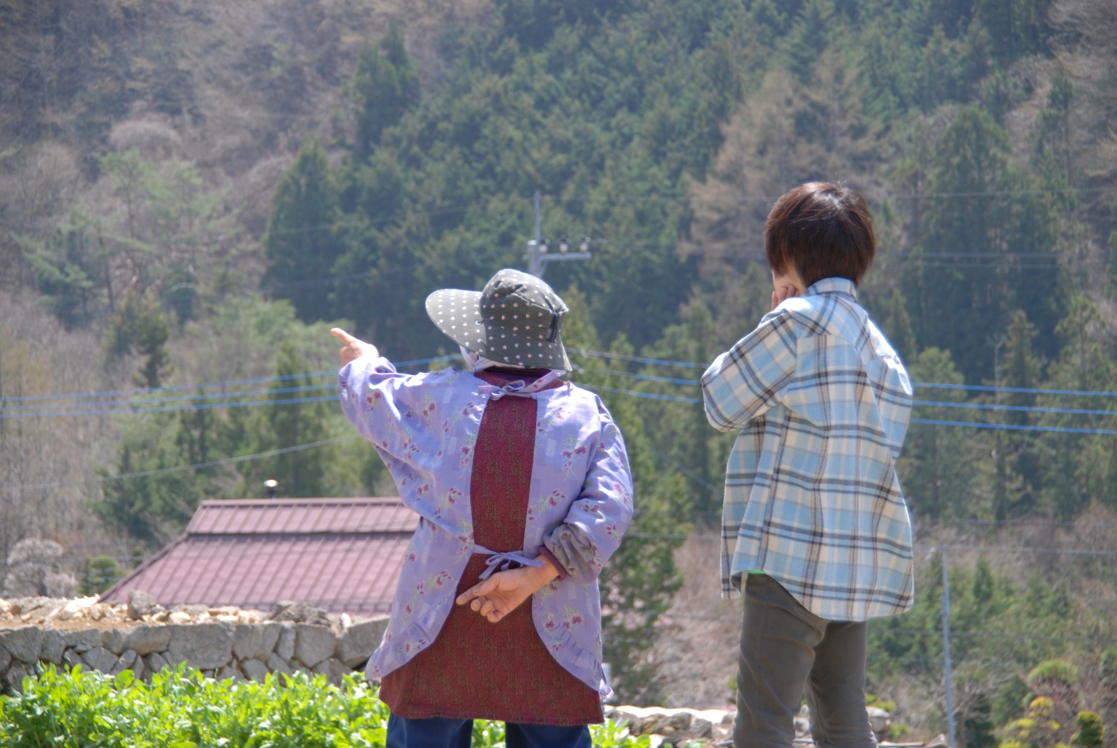 tomodachi