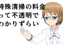 Special cleaning