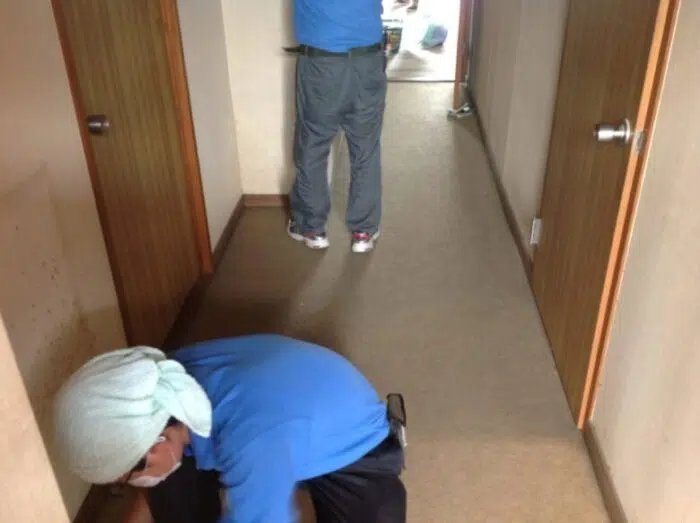 遺品整理後の清掃③