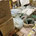 特殊清掃　費用