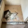 特殊清掃現場