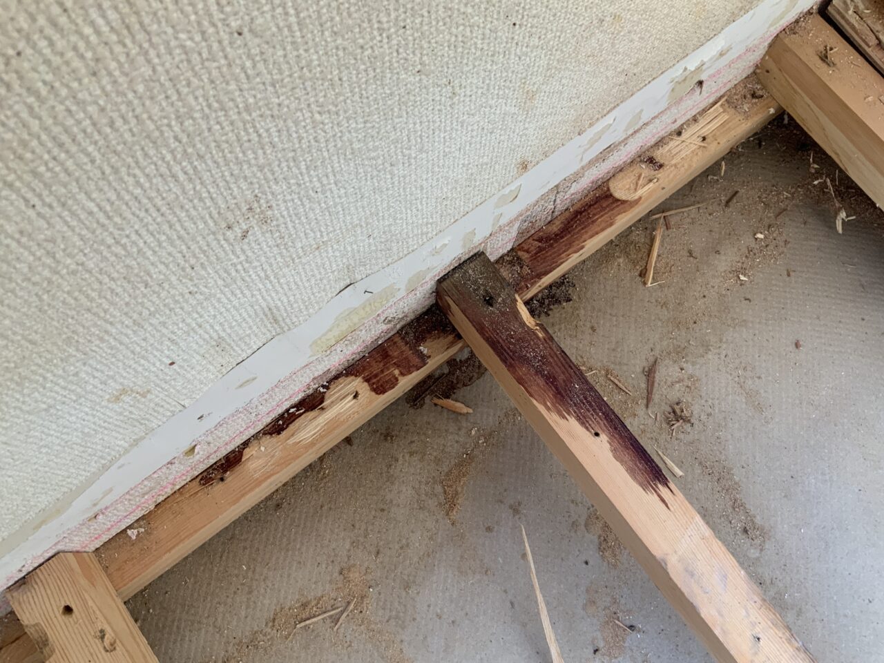 床下確認