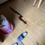 孤独死　保険
