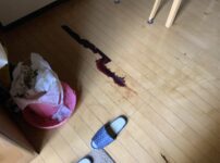 孤独死　保険