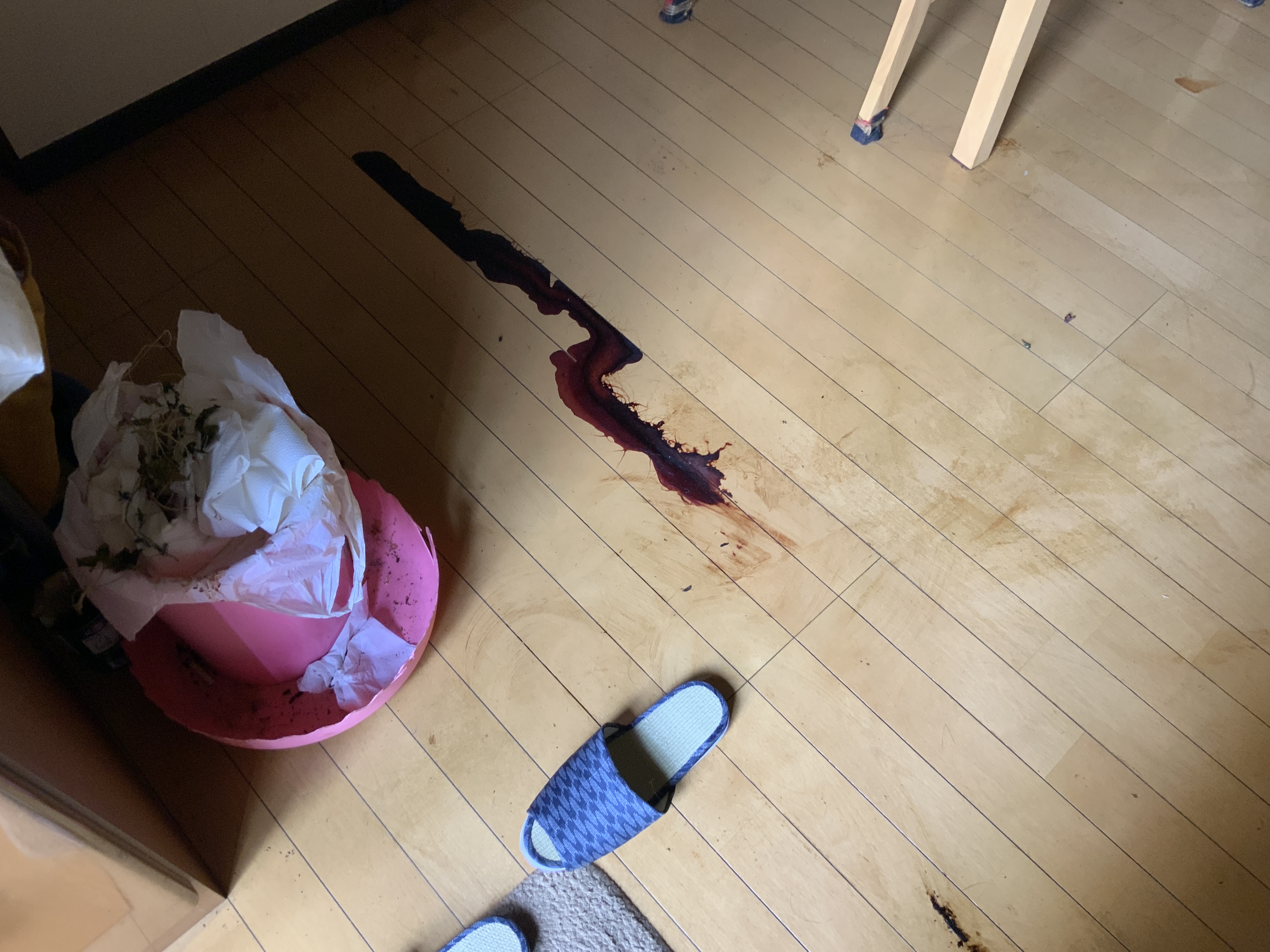 孤独死　保険