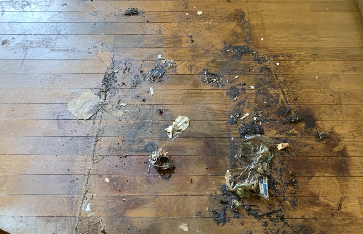 特殊清掃現場