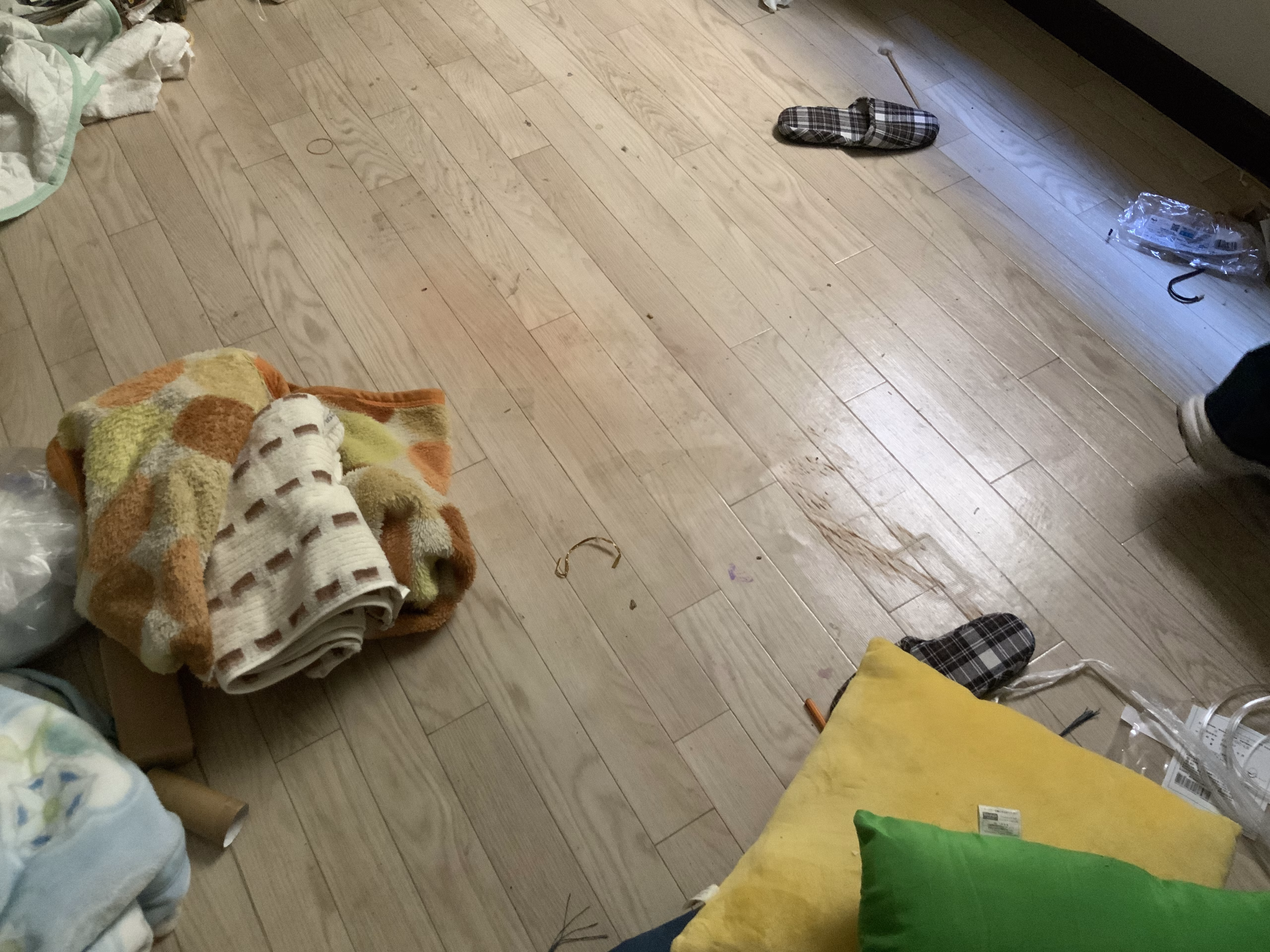 特殊清掃費用相場
