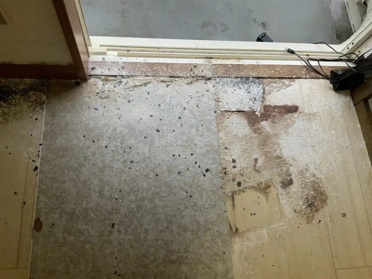 体液がつなぎ目や目地を通って床下の合板にまで深く浸透している様子