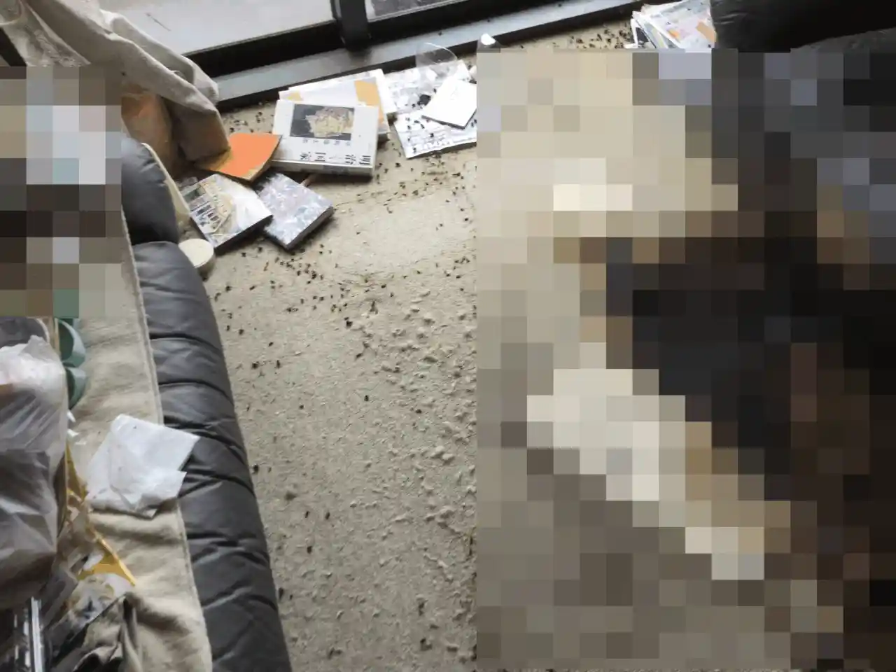土浦市内の分譲マンションの一室で孤独死をした男性の特殊清掃の現場