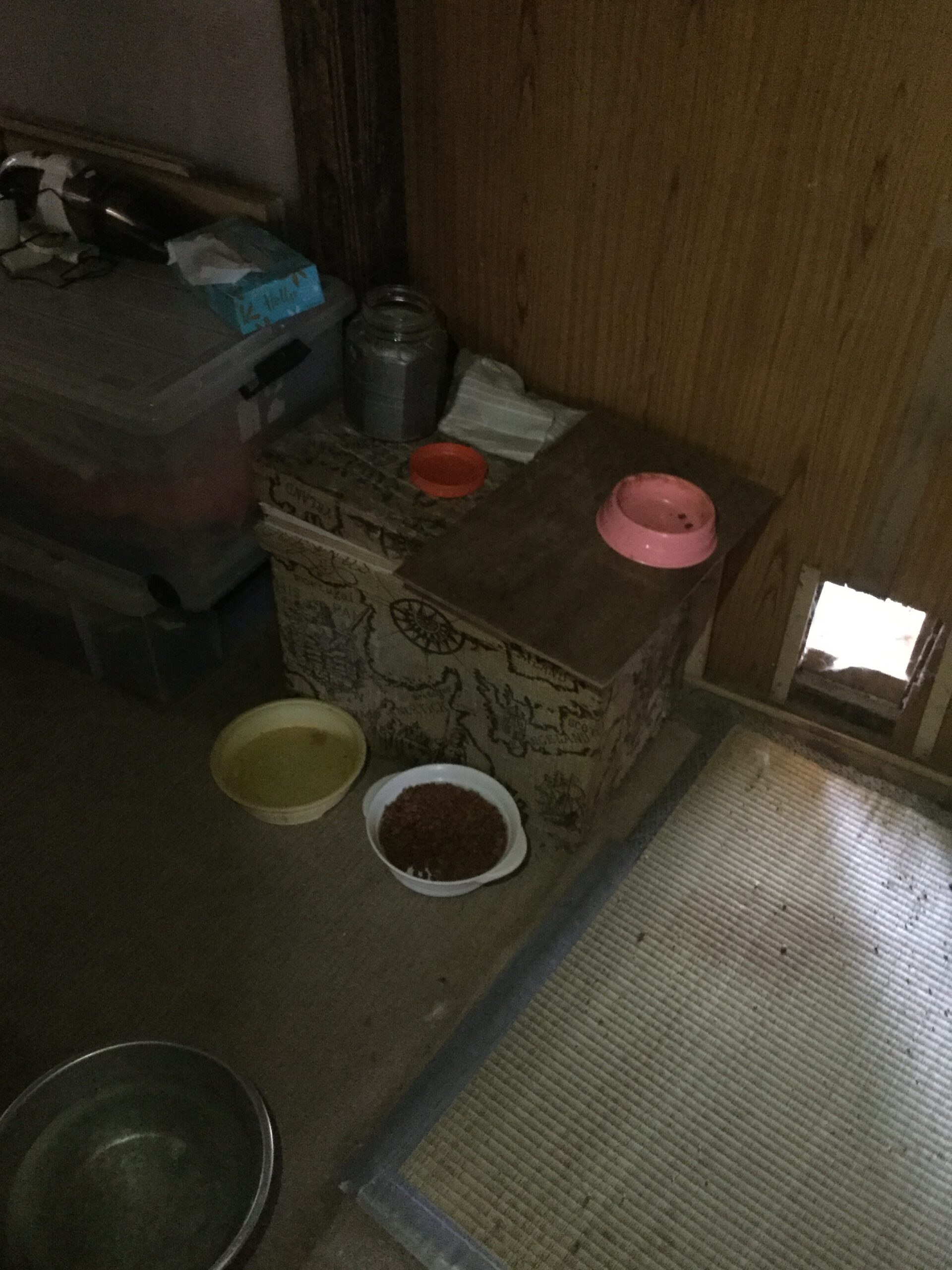 守谷市の特殊清掃事例｜82歳男性の孤独死現場と費用680,000円の施工内容