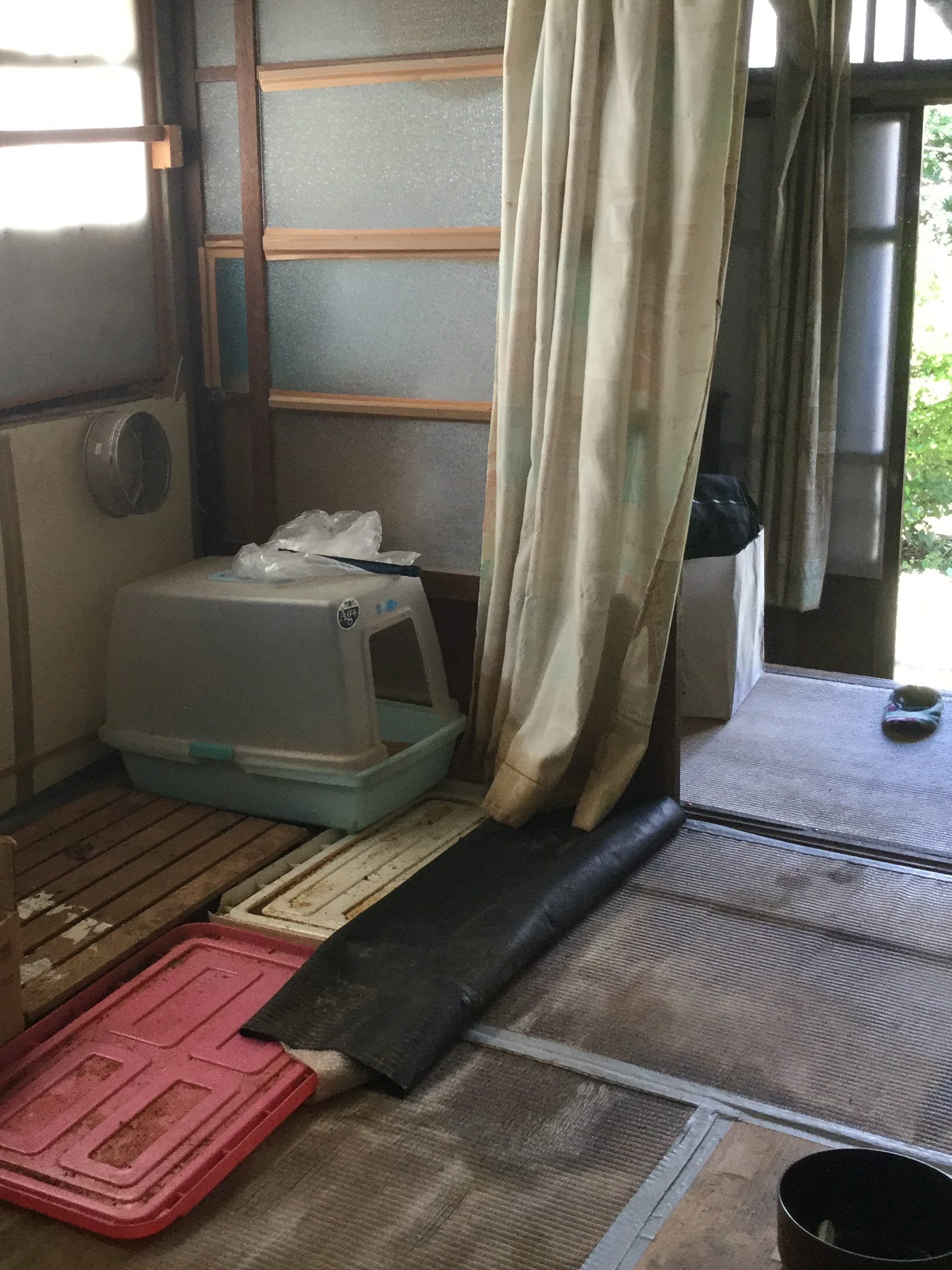 守谷市の一戸建ての中に置いてあったネコのトイレがある様子