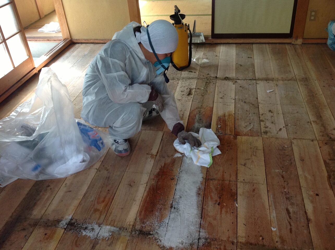 自社製バイオ洗浄で床にしみこんだ体液を染み出ししている様子