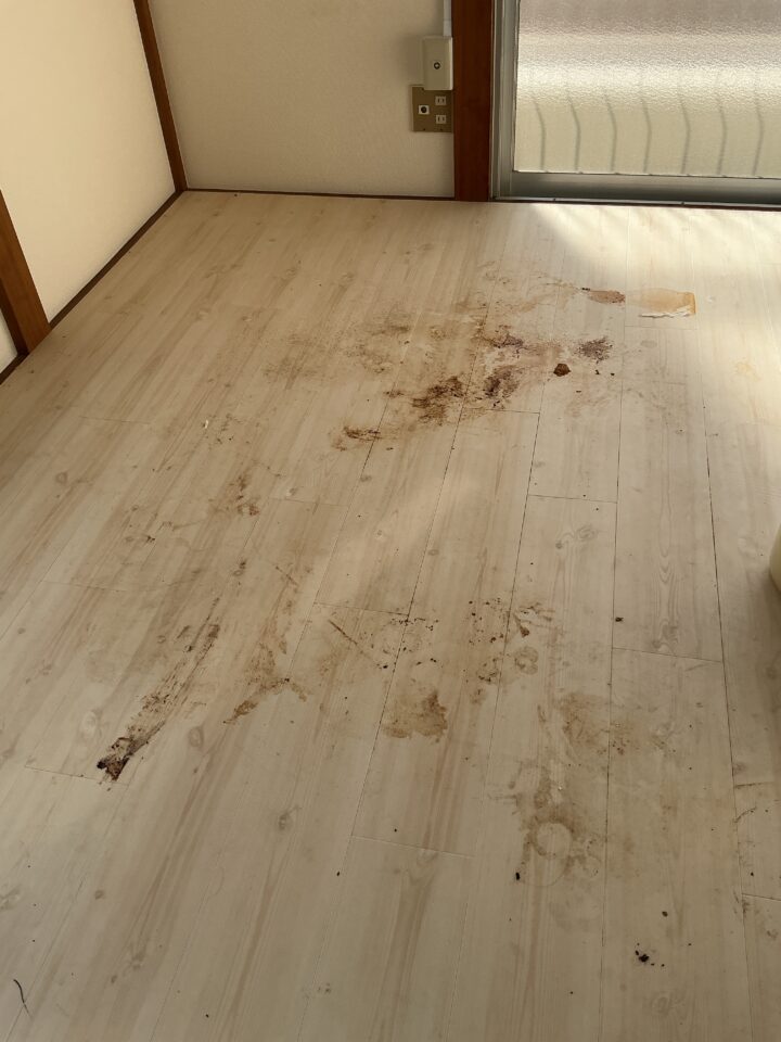 他業者が特殊清掃終わりましたといった茨城県の現場、遺体跡はそのままで遺品だけ片付けただけ