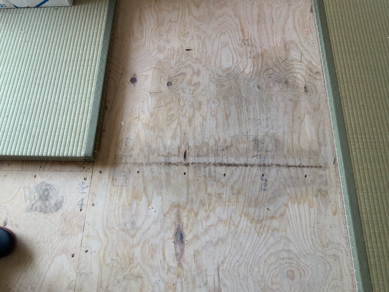 体液が床板の継ぎ目から下に浸透していることを確認する様子