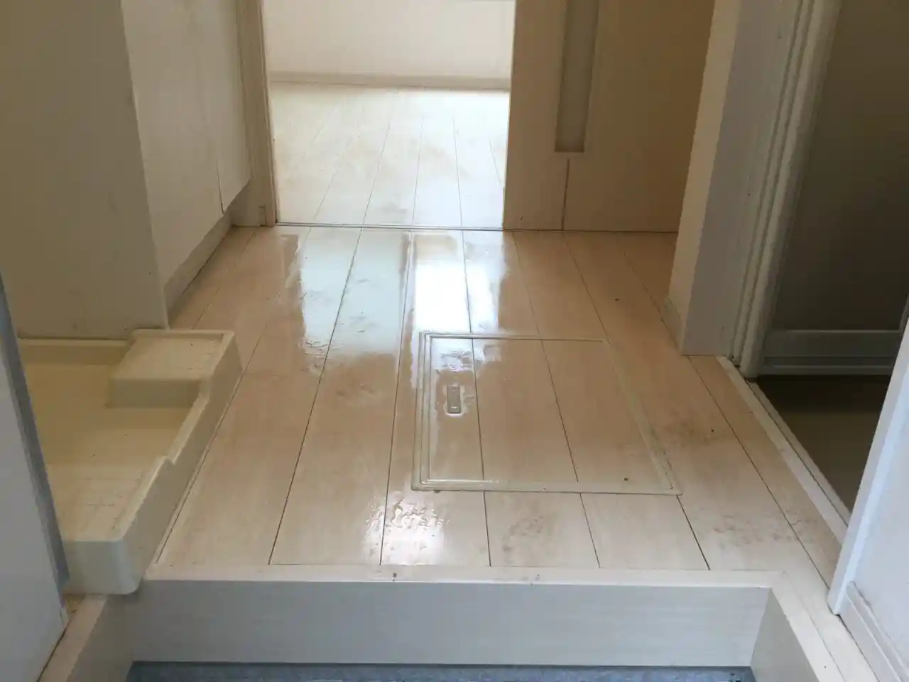 港区の孤独死したお部屋が特殊清掃で次に貸し出せるようになった様子