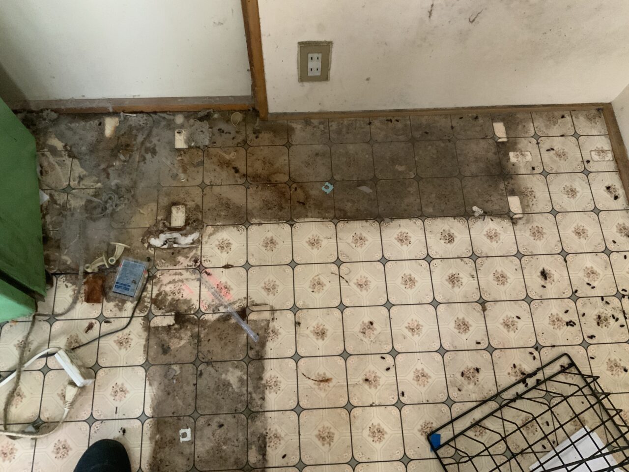 70歳男性がキッチンの床で孤独死して体液がCFを通り越して床下へ浸透してしまった現場