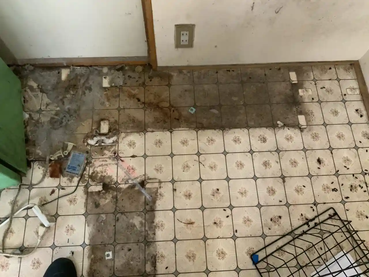 70歳男性がキッチンの床で孤独死して体液がCFを通り越して床下へ浸透してしまった現場