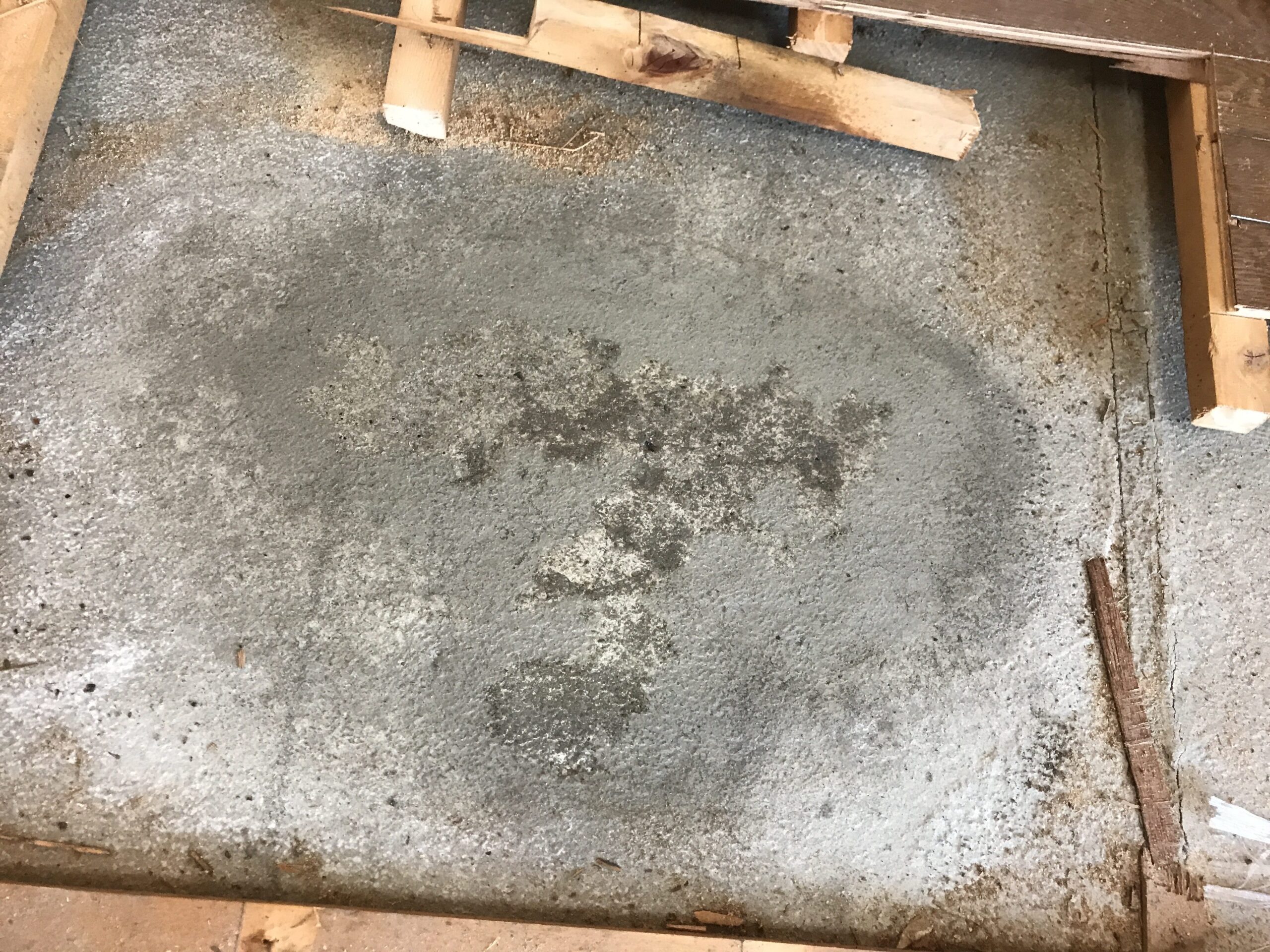コンクリートにしみこんだ体液を洗浄している様子