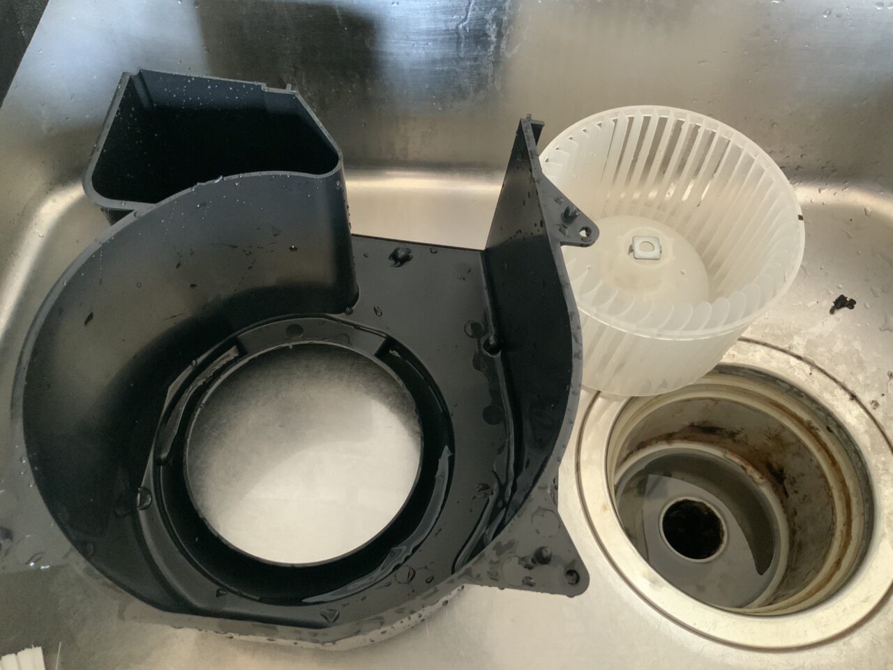 分解して清掃することによりハエなどが足につけた体液などを清掃することができた様子