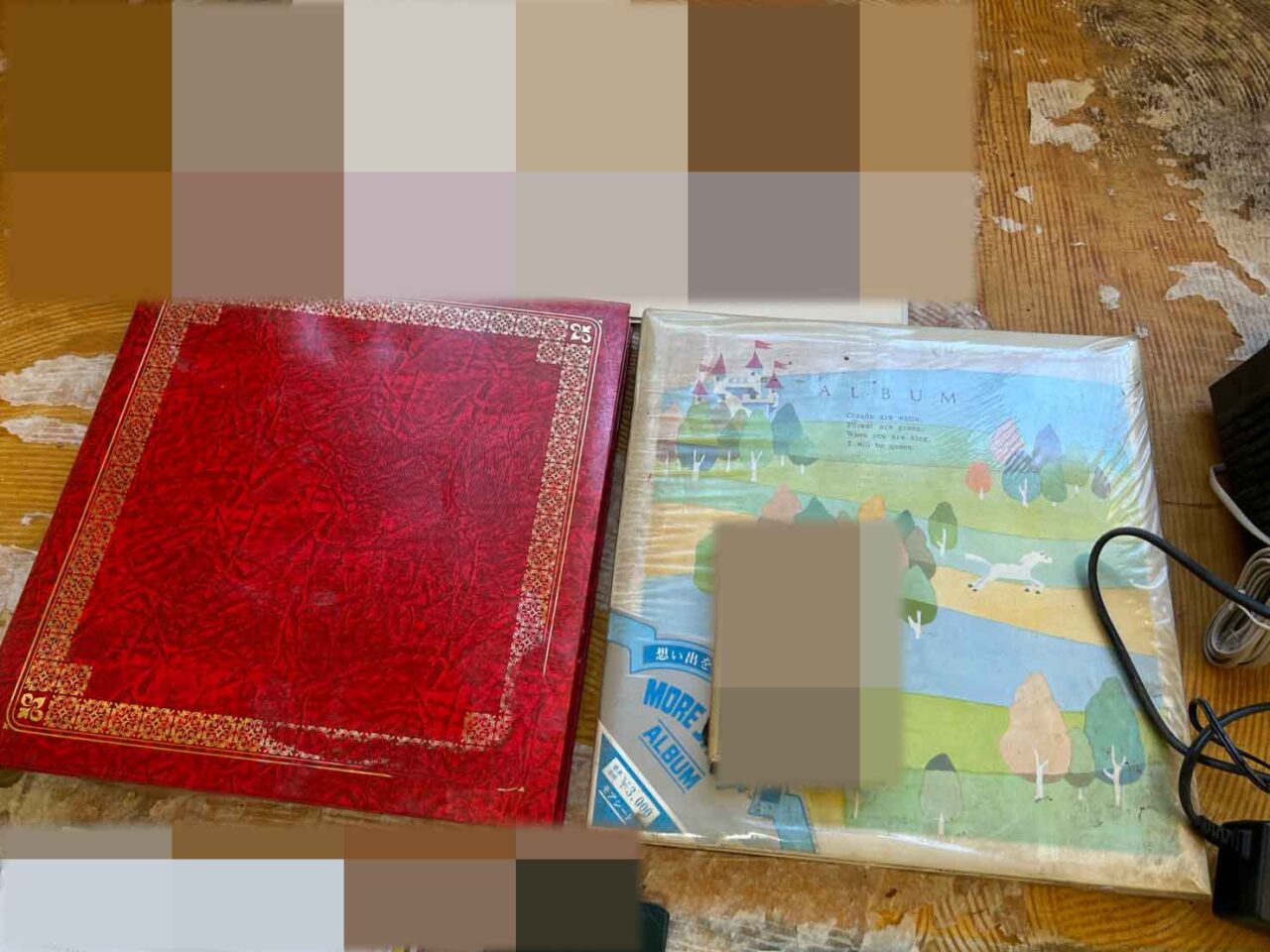 遺品整理の現場で見つかった幼少期からの兄弟の思い出のアルバム