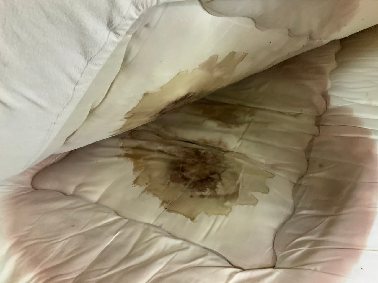 石岡市の孤独死の特殊清掃現場の体液を大量に吸収した布団